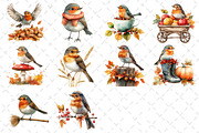 Watercolor Robin Birds Clipart, Fall, an Illustration by Dream Creation (Thumbnail 4 of 4)