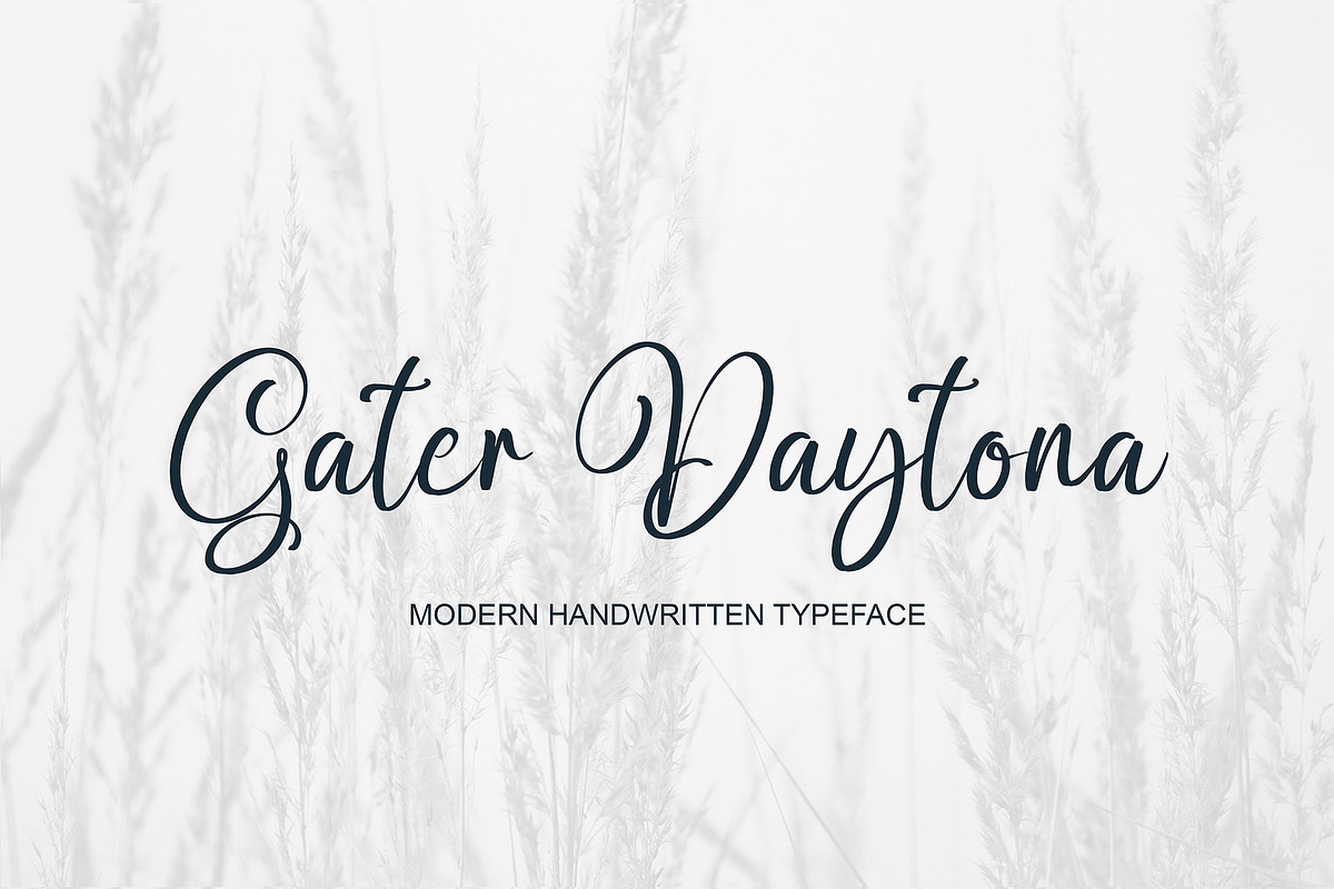 Feharitas, a Script Font by pineungtype (Photo 7 of 8)