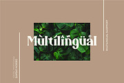 Famous Cool gorgeous typefaces, a Serif Font by suhadidesign (Thumbnail 17 of 19)