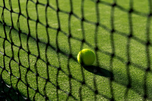 Focused Tennis Ball behind the Nett