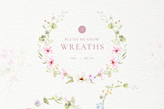 Blush Meadow Watercolor Wildflowers, a Decorative Illustration by Liliia Polos Illustration (Thumbnail 5 of 12)