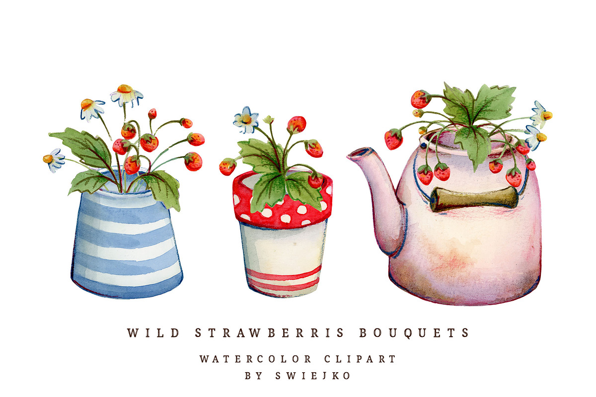 Wild Strawberries, cottage style, an Illustration by swiejko (Photo 1 of 6)