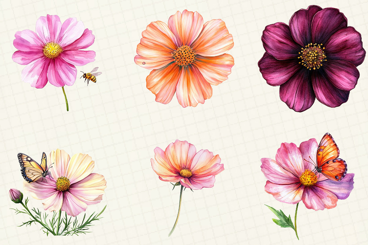 Watercolor Cosmos Flower Clipart, an Illustration by OK Design (Photo 4 of 5)