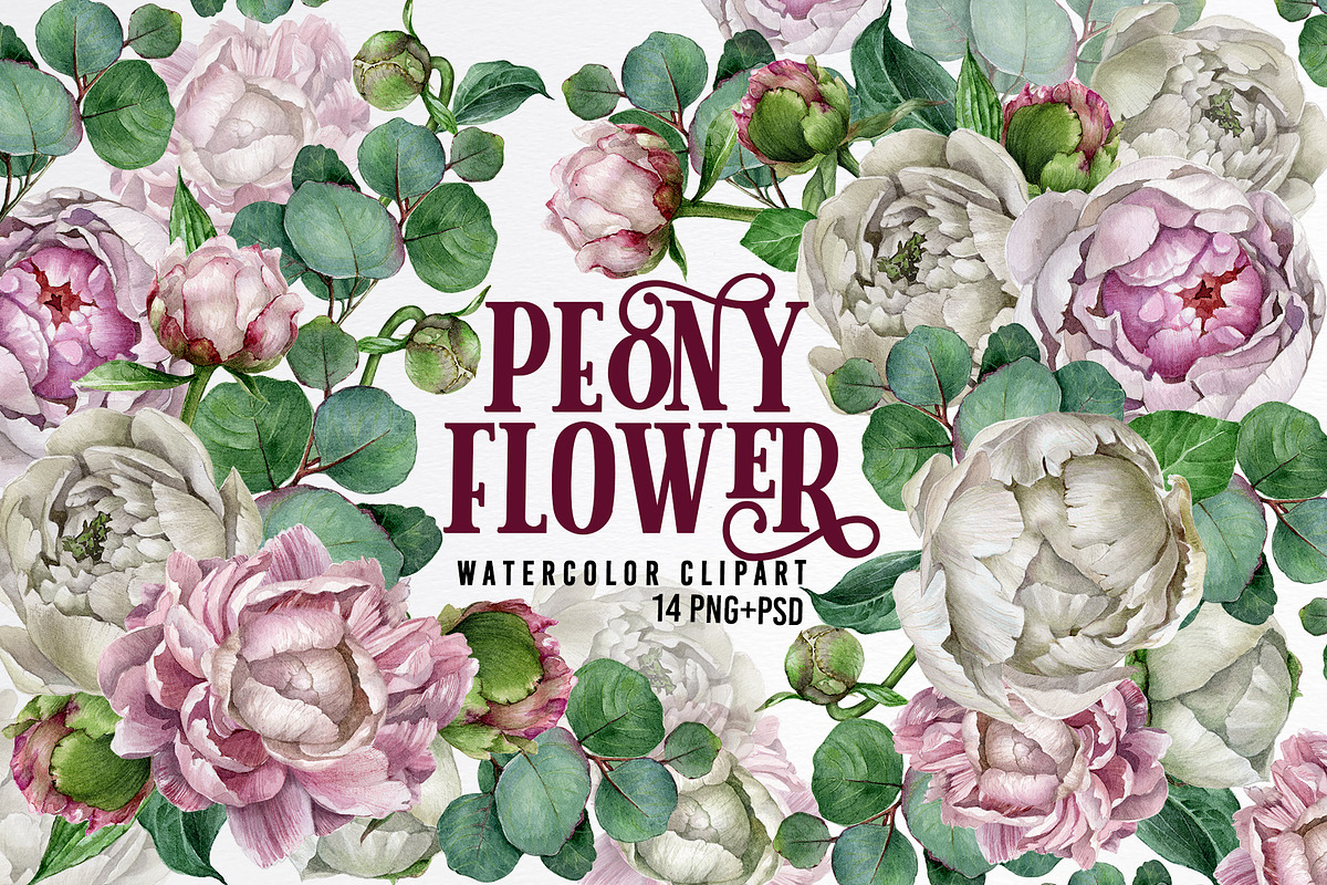 Watercolor pink peonies clipart, an Illustration by yana.fefelova (Photo 1 of 5)