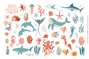Sea Life Collection, an Animal Illustration by Nadezhda Mikhailova (Thumbnail 13 of 18)