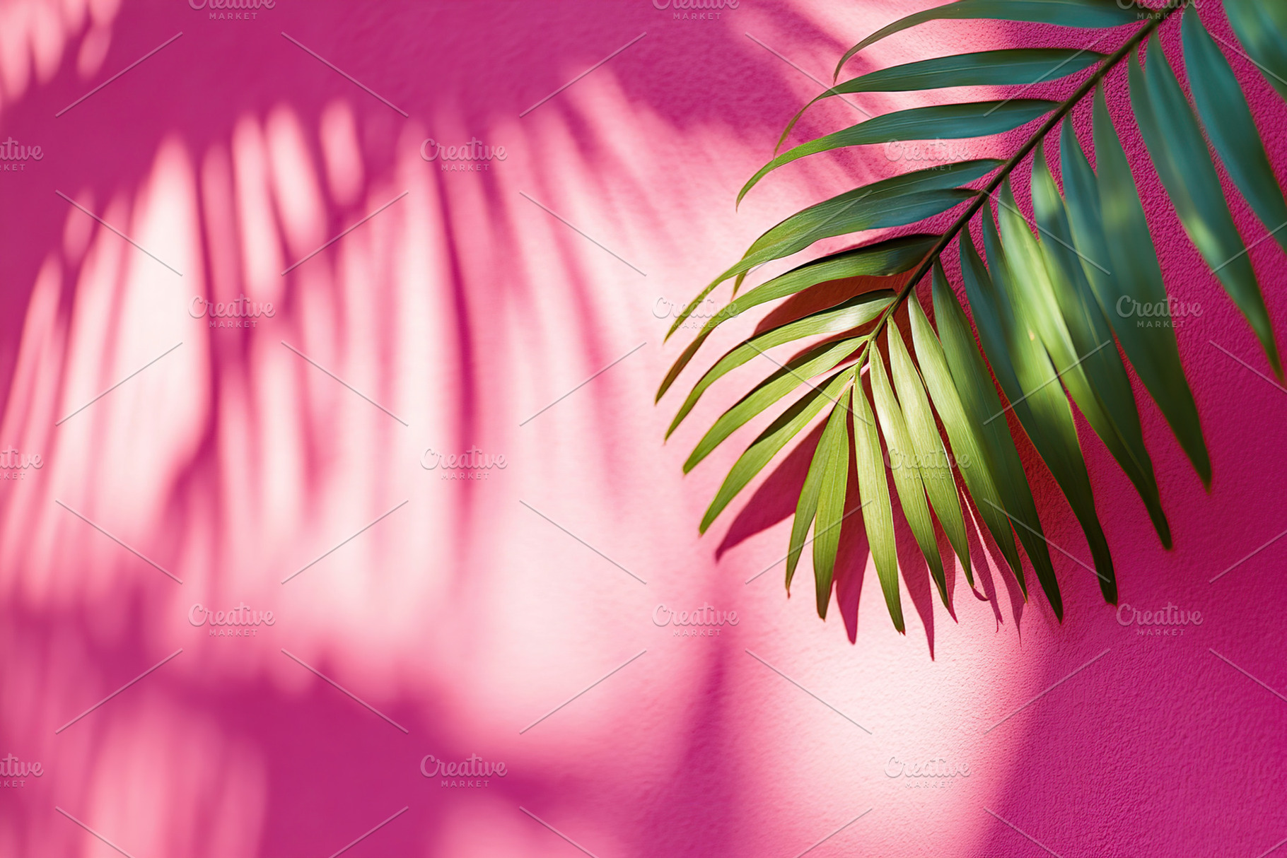 Shadows of palm leaves grace a vibrant pink wall under sunlight, a Nature Photo by AlyaAnd