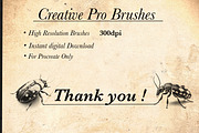 Beetle & Insect Procreate Stamps, a Brush Add-On by CreativeProBrushes (Thumbnail 5 of 5)