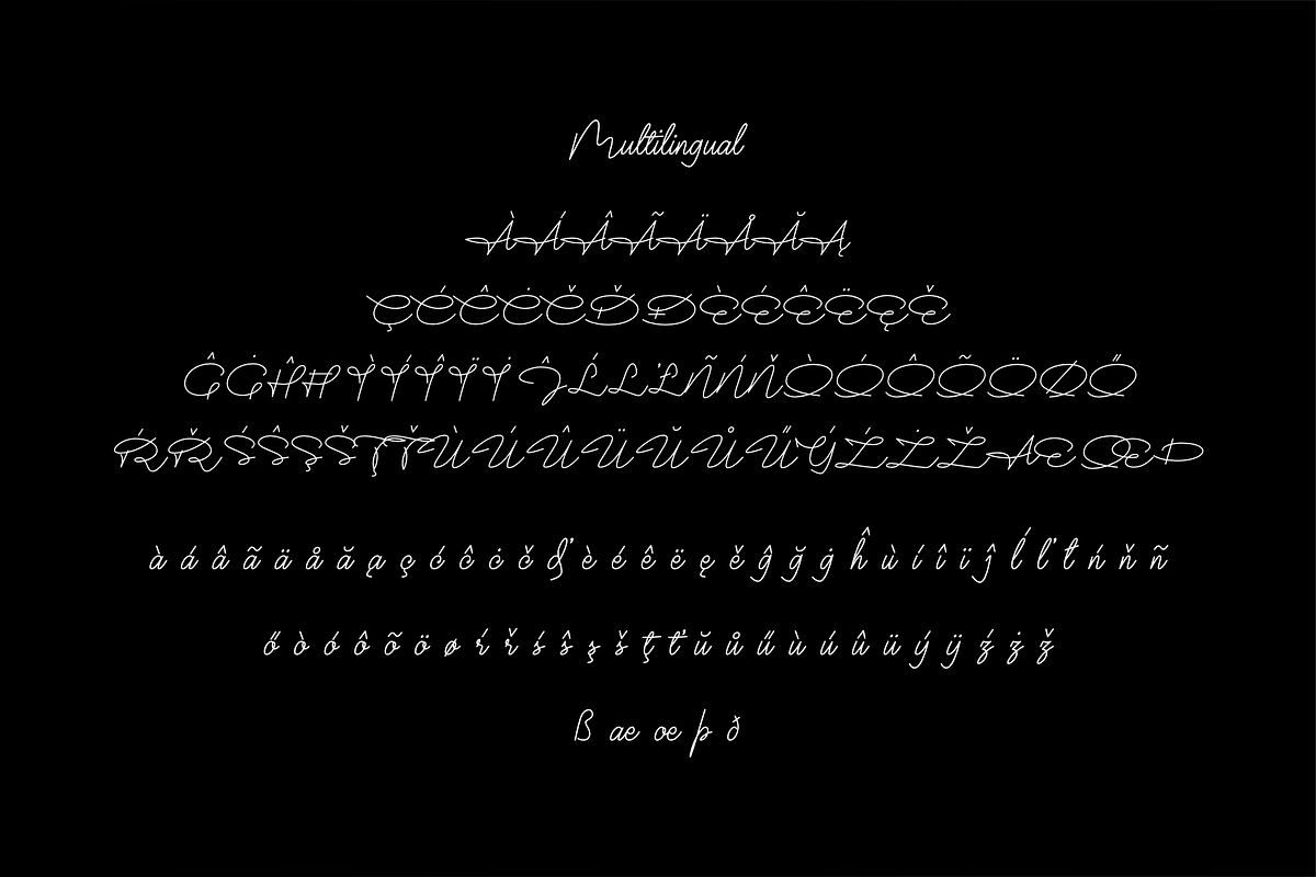 Mr Dj Signature Monoline Font, a Script Font by Attractype (Photo 6 of 8)