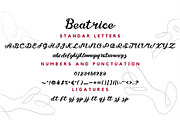 Beatrice Font Elegant Script, a Script Font by Ahmad Pkp Studio (Thumbnail 7 of 8)