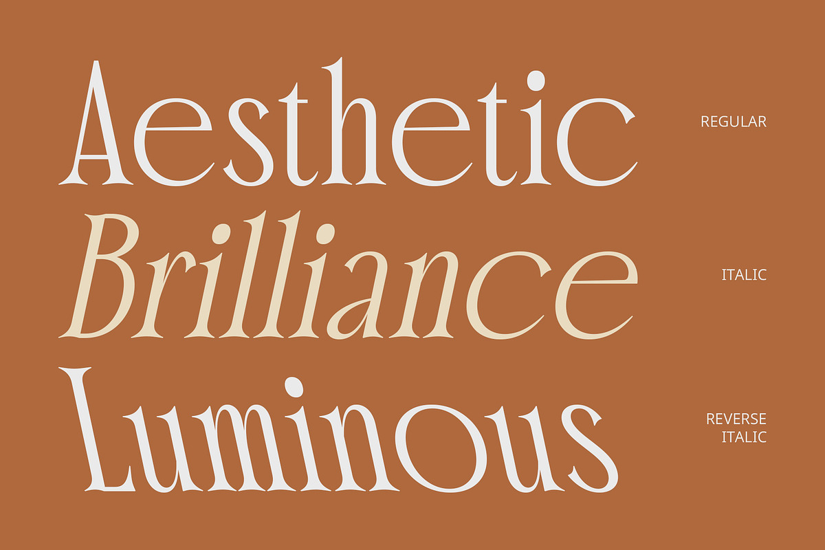 CS Malicious – Elegant Font, a Serif Font by Craft Supply Co. (Photo 4 of 8)