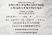 Hostage | Script Font, a Handwritten Font by Scratchones (Thumbnail 7 of 9)