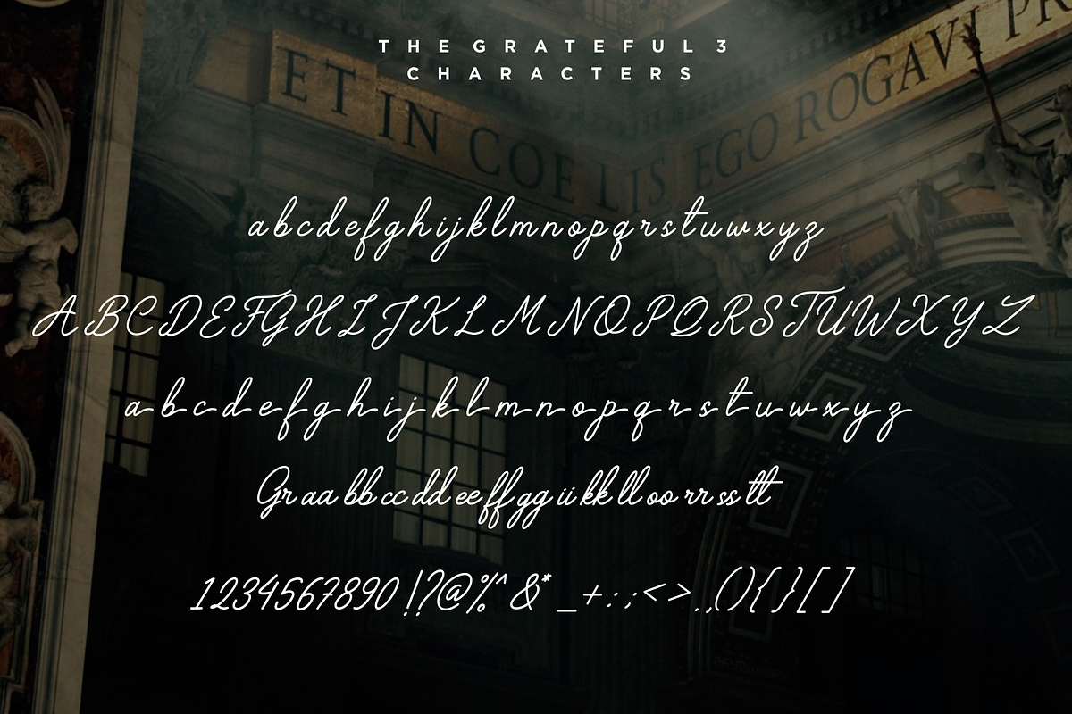 The Grateful Script, a Script Font by Sronstudio (Photo 14 of 15)