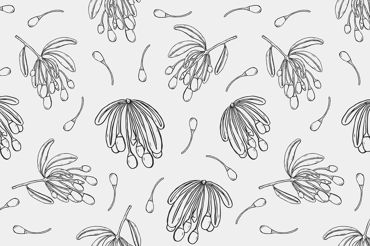 Goji berries set, seamless patterns, a Food Illustration by Good Studio (Photo 6 of 9)