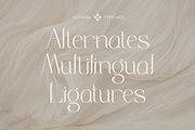 Scinara - Modern Beauty Typeface, a Sans Serif Font by Sohel Studio (Thumbnail 11 of 11)