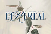 Monycha — Modern Serif Script, a Serif Font by Almeera Std (Thumbnail 3 of 10)