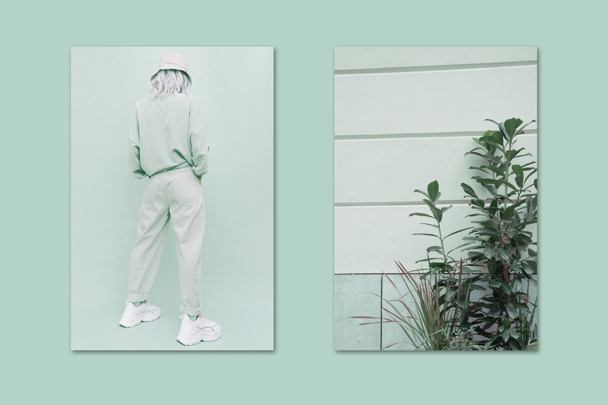 Minimalist green bundle 96, a Person Photo by Jenya Porechenskaya (Photo 2 of 7)