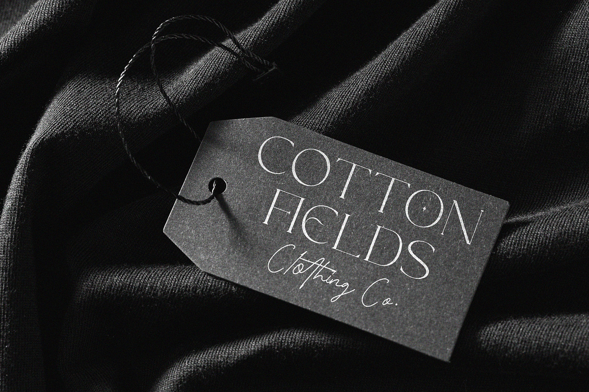 Treading - Modern Font Duo, a Serif Font by Prioritype Co (Photo 11 of 17)