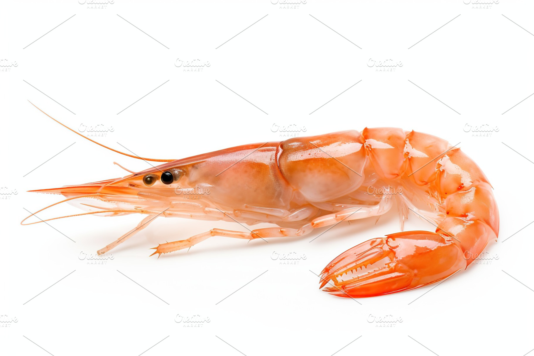 Fresh shrimp on white background, a Food & Drink Photo by AlyaAnd
