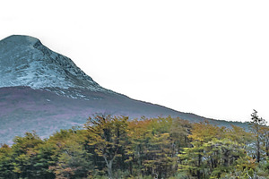 Forest and mountains patagonia isolated landscape photo, a Nature Photo by DanFLCreativo