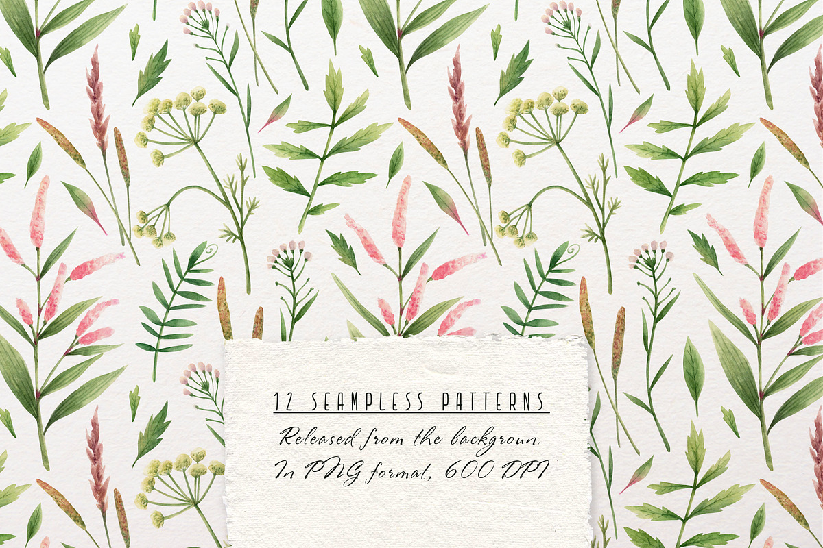 Wild flowers watercolor clipart, an Illustration by a_ptichkina (Photo 4 of 7)