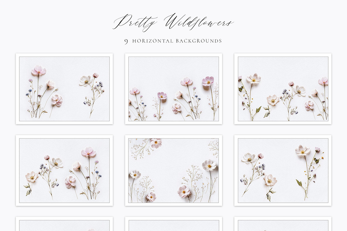 Pretty Wildflowers I Pressed Flowers, a Background Graphic by by creative paper (Photo 12 of 14)