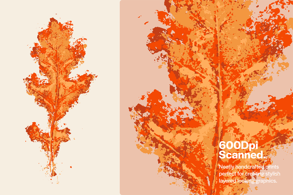 Stamped Prints of Leaves & Flowers, an Object Graphic by Yasir Ekinci (Photo 9 of 14)