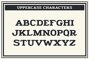 GDC Fuller Typeface, a Serif Font by GriffinDesignCompany (Thumbnail 2 of 8)