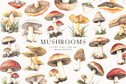 Watercolor Mushrooms, a Food Illustration by PeDe Designs (Thumbnail 1 of 6)
