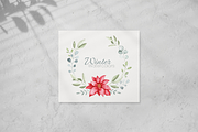 Winter Botanical Watercolor Set, a Decorative Illustration by Liliia Polos Illustration (Thumbnail 2 of 10)
