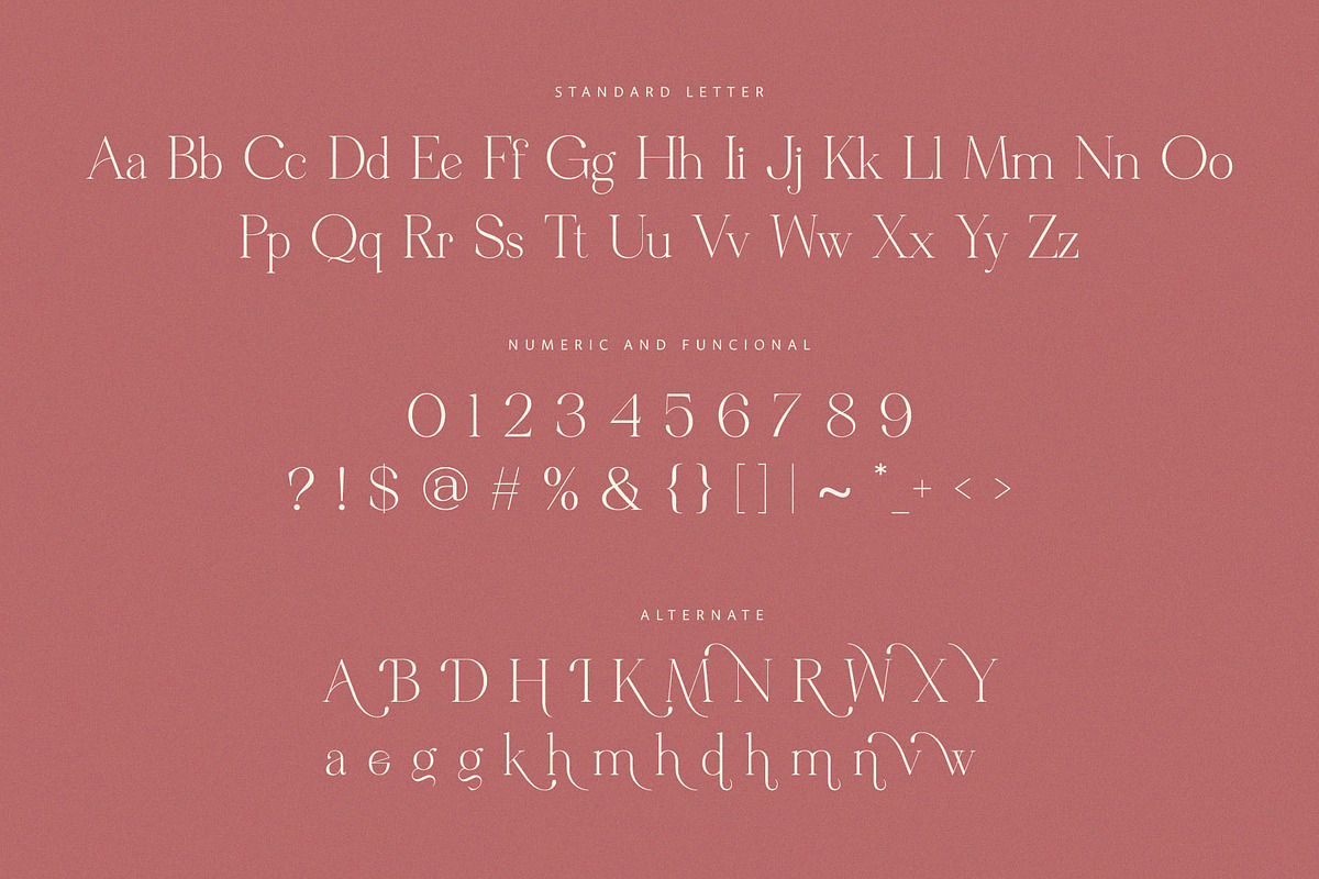 Metagana – Modern Display Serif Font, a Serif Font by BrandSemut (Photo 8 of 8)