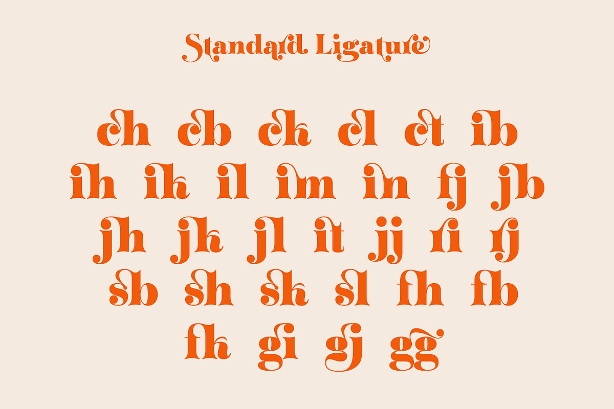 ZT Klotin - Display Typeface, a Serif Font by zelow type (Photo 12 of 15)