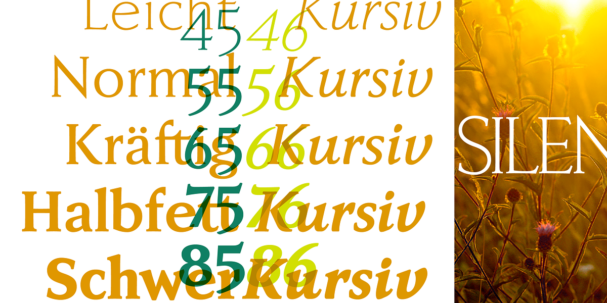 Faber Serif Pro, a Serif Font by ingoFonts (Photo 3 of 9)