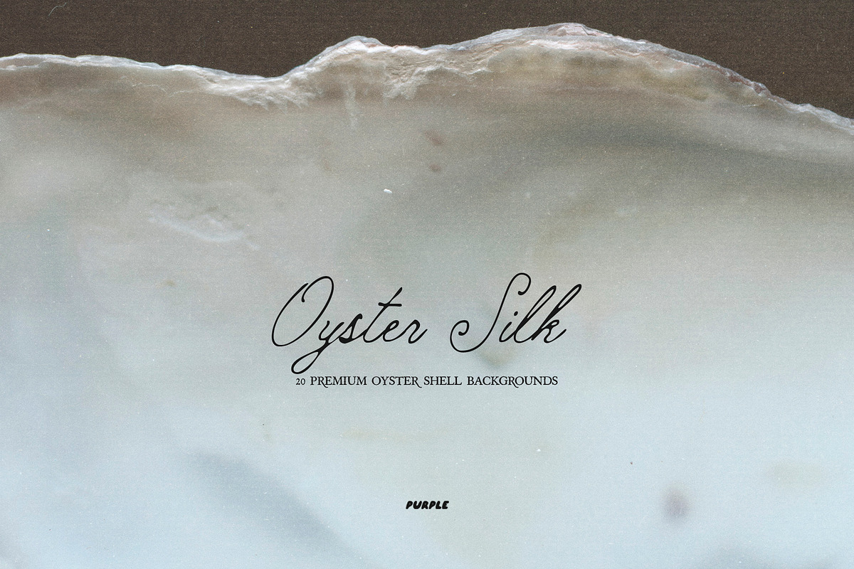 Oyster Silk | Shell Textures, a Background Graphic by Purple (Photo 2 of 8)