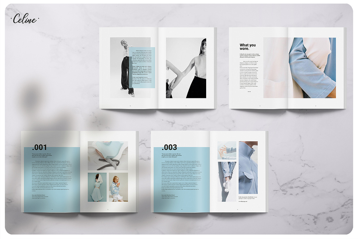 FLAMINGO Lookbook Template, a Magazine Template by Celine Studio (Photo 4 of 9)