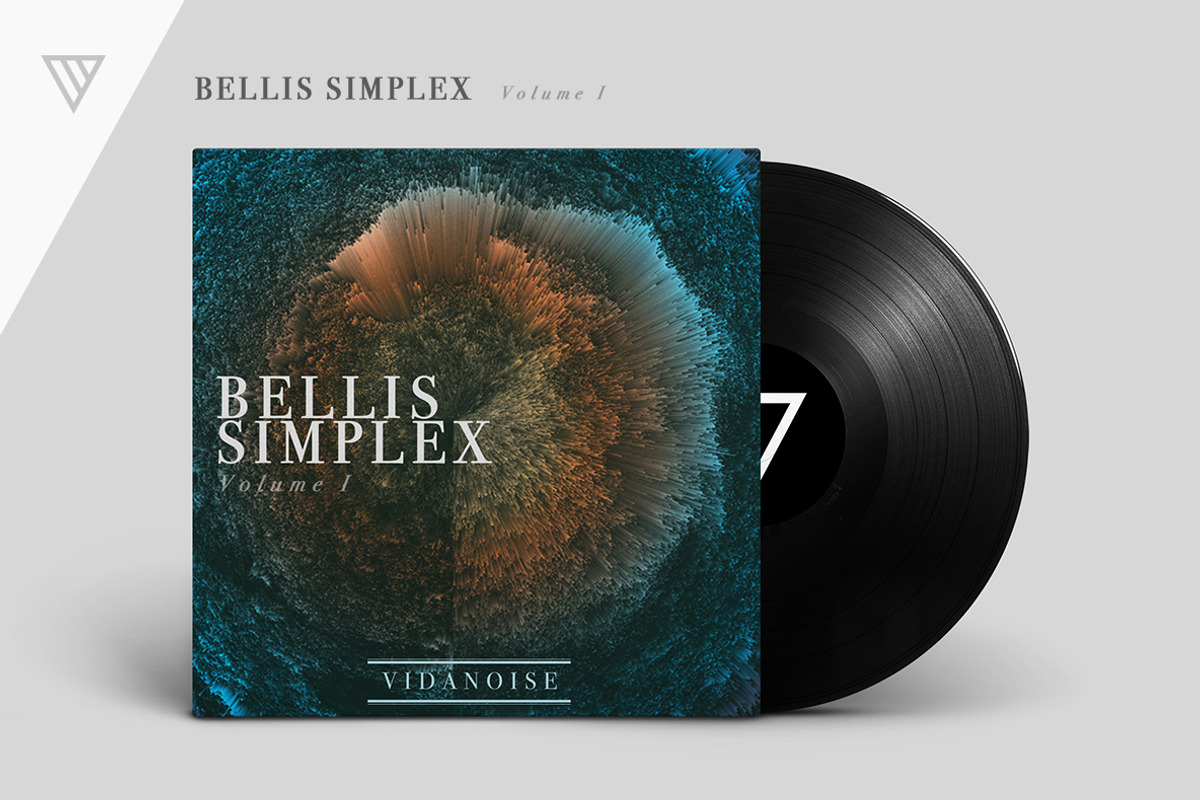 Bellis Simplex, a Pattern Graphic by Vidanoise (Photo 6 of 7)