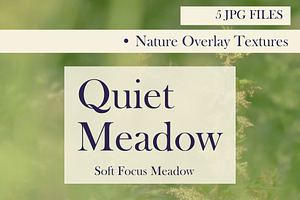 Quiet Meadow — Soft Focus Meadow