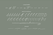 Rhastela Greams Modern Signature, a Script Font by Storytype Studio (Thumbnail 14 of 15)