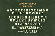 Horse Saguaro - Cowgirl Font, a Serif Font by HansCo Studio (Thumbnail 6 of 7)