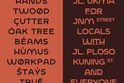 SFC Woster Sans, a Sans Serif Font by Skilline Supply Co. (Thumbnail 5 of 7)