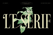 LT Serif - Modern Serif Font, a Serif Font by limitype (Thumbnail 1 of 9)
