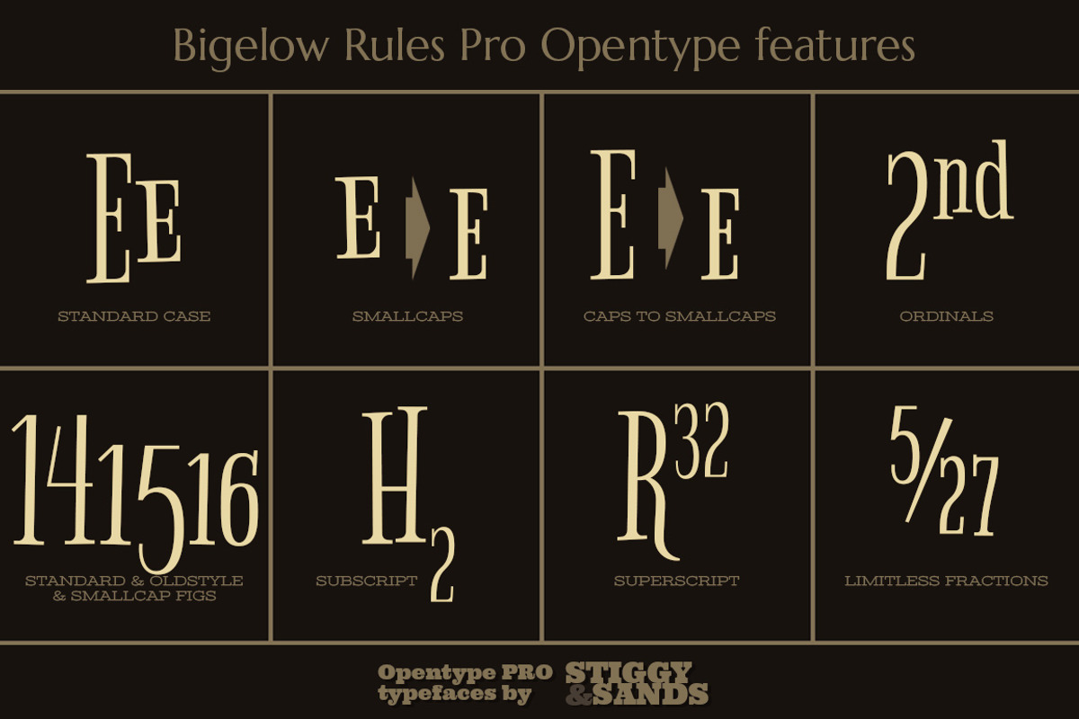 Bigelow Rules Pro preview 4