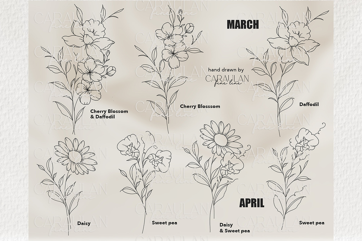 Birth Flowers Outline Stamps, a Brush Add-On by CaraulanStore (Photo 3 of 9)