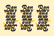 BLACK WOOD - Modern Classic Script, a Script Font by Havinkpen (Thumbnail 5 of 9)