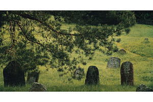 Old ancient Jewish cemetery in, a Nature Photo by Our Amazing World