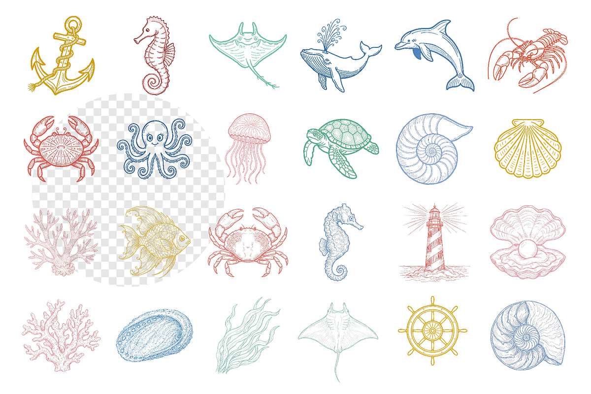 Summer Coastal Hand Drawn Line Art, an Illustration by Dream Creation (Photo 2 of 4)