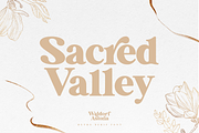 Waldorf Astoria Modern Vintage Font, a Serif Font by Pen Culture (Thumbnail 8 of 11)