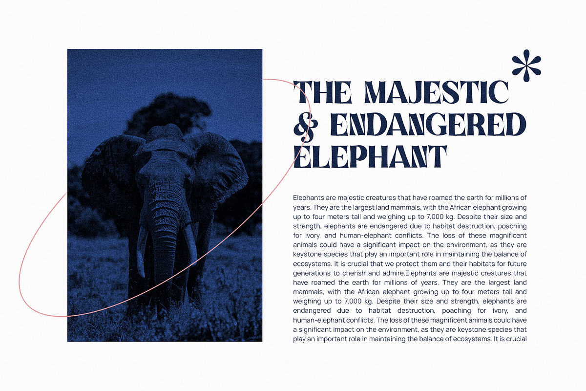 Kinsley Elegant Serif Font, a Serif Font by Graphicxell (Photo 4 of 10)
