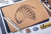 Hand drawn vector plants, a Food Illustration by SHom (Thumbnail 2 of 17)