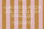 Riviera Du Soleil Font Duo, a Script Font by ana & yvy (Thumbnail 13 of 17)