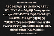 Mist Tropic - Tropic Serif Font, a Serif Font by Prioritype Co (Thumbnail 10 of 10)